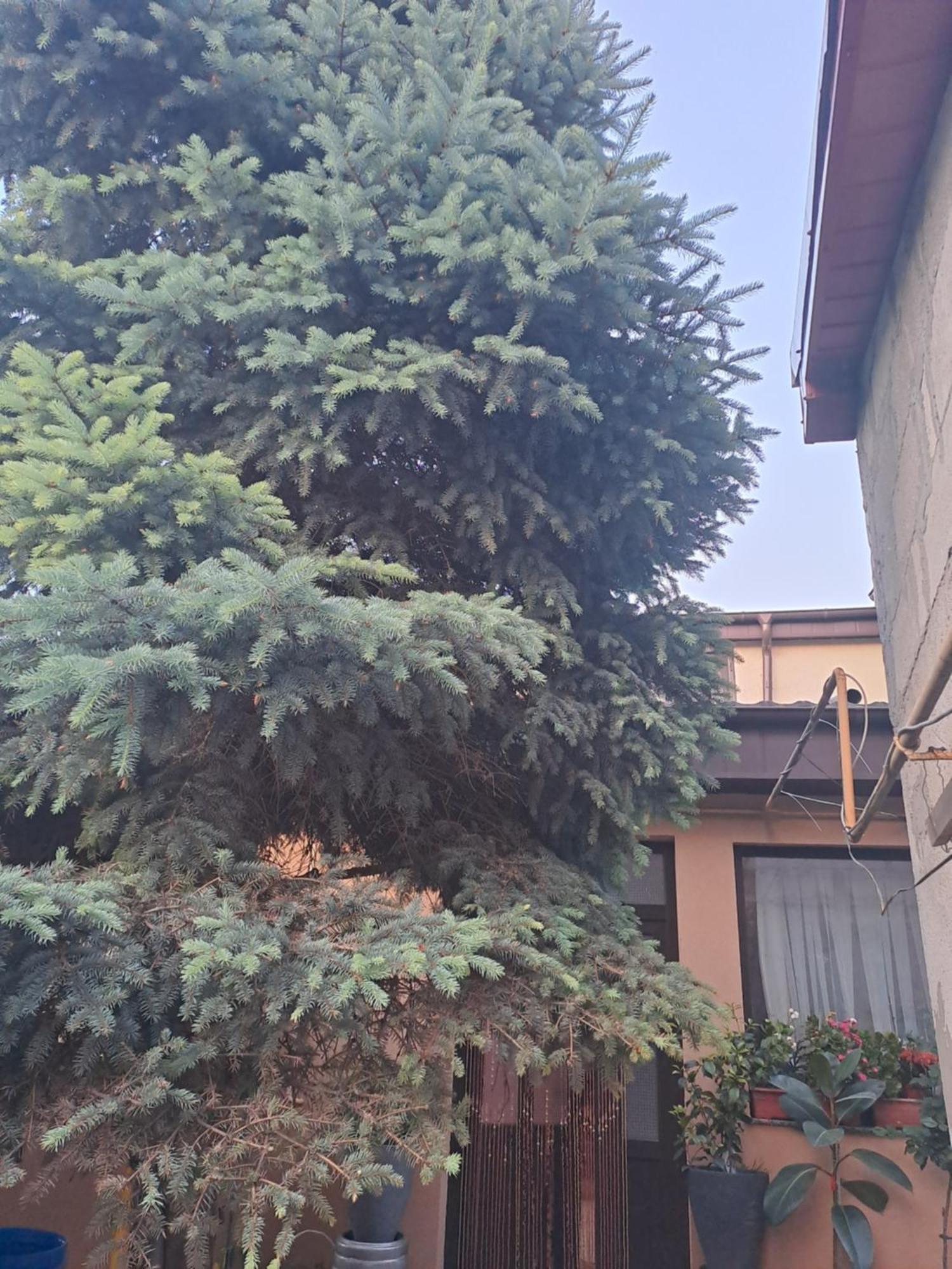 Appartamento Casa Rusu Galaţi Esterno foto